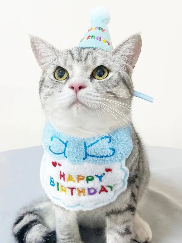 Cat Dog rođendanska portikla i šešir za zabavu. Mini Doggy Cat podesiva portikla.